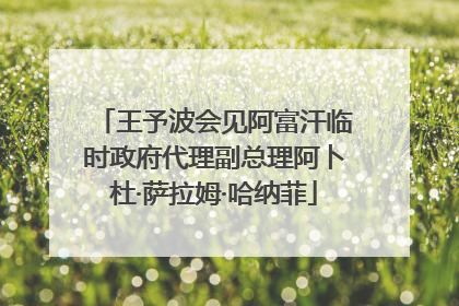 王予波会见阿富汗临时政府代理副总理阿卜杜·萨拉姆·哈纳菲