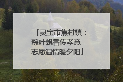 灵宝市焦村镇：粽叶飘香传孝意 志愿温情暖夕阳