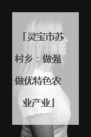 灵宝市苏村乡：做强做优特色农业产业