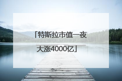 特斯拉市值一夜大涨4000亿