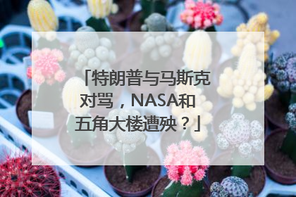特朗普与马斯克对骂，NASA和五角大楼遭殃？