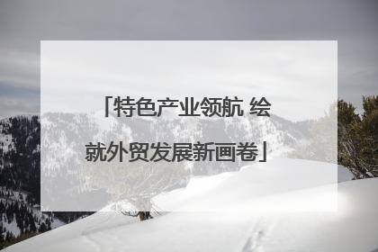 特色产业领航 绘就外贸发展新画卷