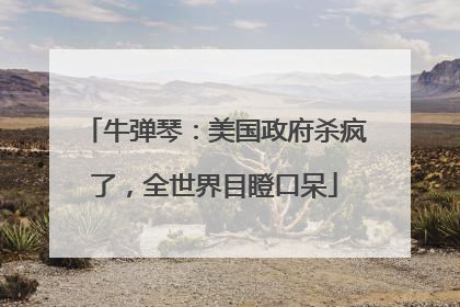 牛弹琴：美国政府杀疯了，全世界目瞪口呆