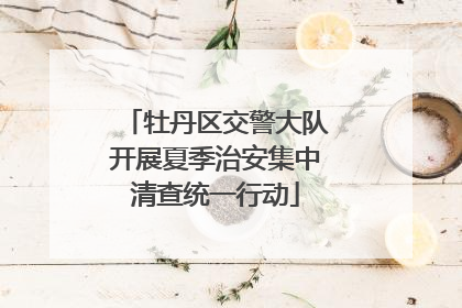 牡丹区交警大队开展夏季治安集中清查统一行动