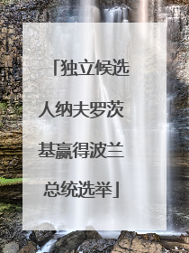 独立候选人纳夫罗茨基赢得波兰总统选举