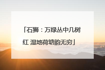 石狮：万绿丛中几树红 湿地荷塘韵无穷