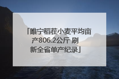 睢宁稻茬小麦平均亩产806.2公斤 刷新全省单产纪录