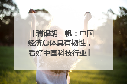 瑞银胡一帆：中国经济总体具有韧性，看好中国科技行业