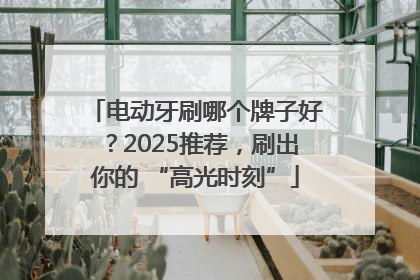 电动牙刷哪个牌子好？2025推荐，刷出你的 “高光时刻”