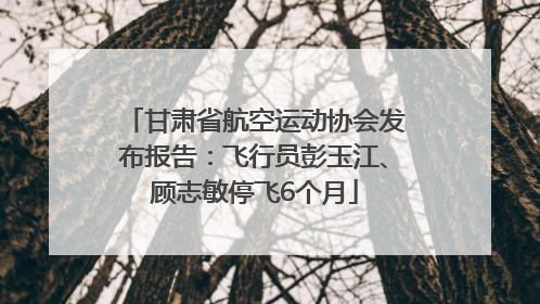 甘肃省航空运动协会发布报告：飞行员彭玉江、顾志敏停飞6个月