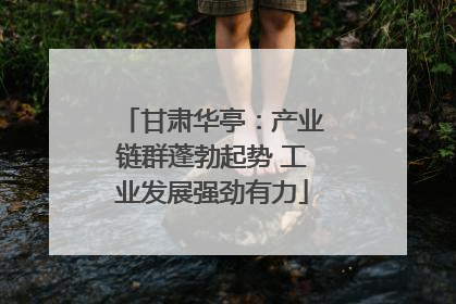 甘肃华亭：产业链群蓬勃起势 工业发展强劲有力