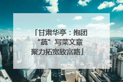 甘肃华亭：抱团“蔬”写菜文章 聚力拓宽致富路