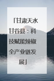 甘肃天水甘谷县：科技赋能辣椒全产业链发展