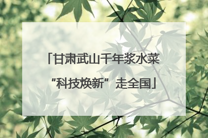 甘肃武山千年浆水菜“科技焕新”走全国