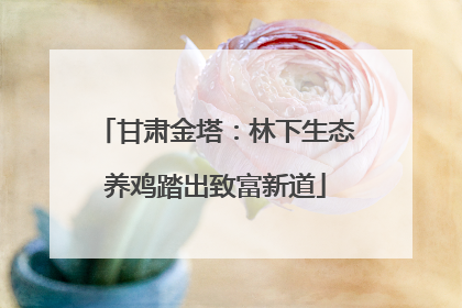 甘肃金塔：林下生态养鸡踏出致富新道