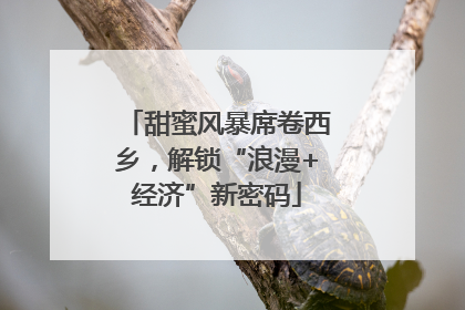 甜蜜风暴席卷西乡，解锁“浪漫+经济”新密码