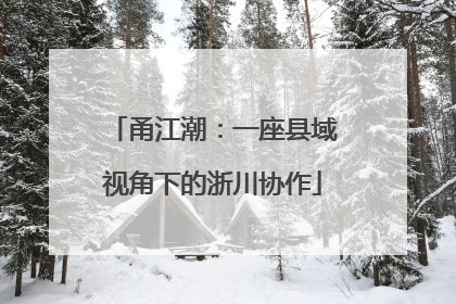 甬江潮：一座县域视角下的浙川协作