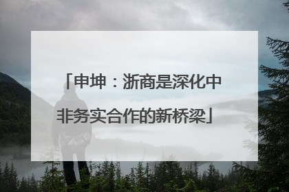 申坤：浙商是深化中非务实合作的新桥梁