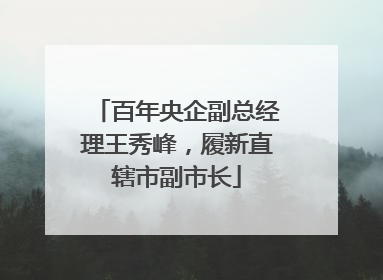 百年央企副总经理王秀峰，履新直辖市副市长
