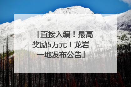 直接入编！最高奖励5万元！龙岩一地发布公告