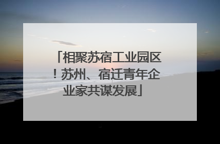 相聚苏宿工业园区！苏州、宿迁青年企业家共谋发展