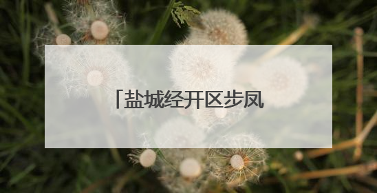 盐城经开区步凤镇：助餐小院里的“幸福滋味”