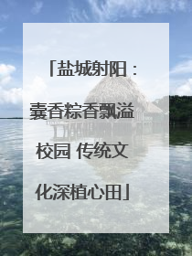 盐城射阳：囊香粽香飘溢校园 传统文化深植心田