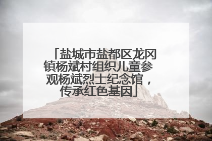 盐城市盐都区龙冈镇杨斌村组织儿童参观杨斌烈士纪念馆，传承红色基因