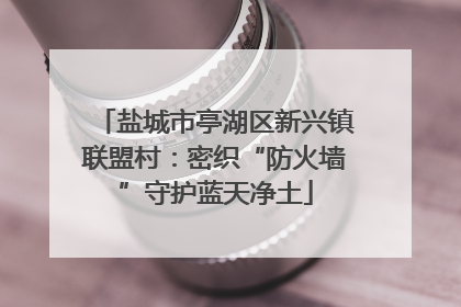盐城市亭湖区新兴镇联盟村：密织“防火墙”守护蓝天净土