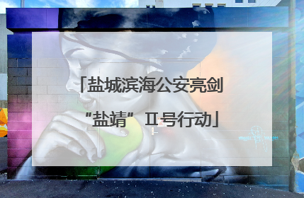 盐城滨海公安亮剑“盐靖”Ⅱ号行动
