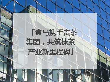 盒马携手贵茶集团，共筑抹茶产业新里程碑