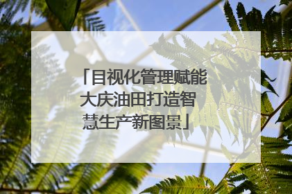 目视化管理赋能 大庆油田打造智慧生产新图景
