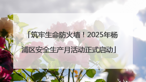 筑牢生命防火墙！2025年杨浦区安全生产月活动正式启动