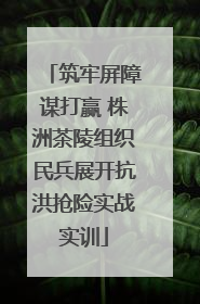 筑牢屏障谋打赢 株洲茶陵组织民兵展开抗洪抢险实战实训