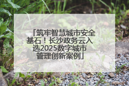 筑牢智慧城市安全基石！长沙政务云入选2025数字城市管理创新案例