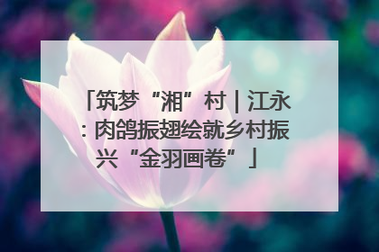 筑梦“湘”村｜江永：肉鸽振翅绘就乡村振兴“金羽画卷”