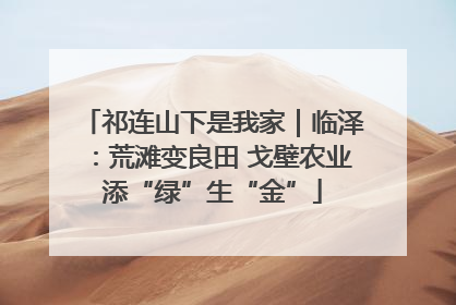 祁连山下是我家｜临泽：荒滩变良田 戈壁农业添“绿”生“金”