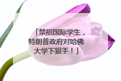 禁招国际学生，特朗普政府对哈佛大学下狠手！