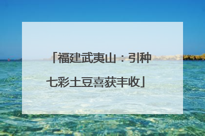 福建武夷山：引种七彩土豆喜获丰收