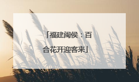 福建闽侯：百合花开迎客来