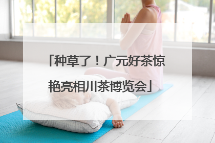 种草了！广元好茶惊艳亮相川茶博览会