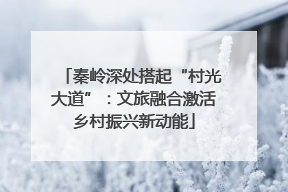 秦岭深处搭起“村光大道”：文旅融合激活乡村振兴新动能