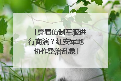 穿着仿制军服进行商演？红安军地协作整治乱象