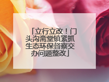 立行立改！门头沟斋堂镇紧抓生态环保督察交办问题整改