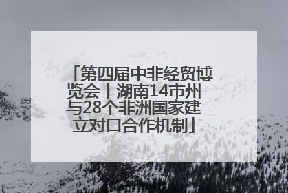 第四届中非经贸博览会丨湖南14市州与28个非洲国家建立对口合作机制