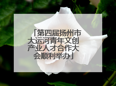第四届扬州市大运河青年文创产业人才合作大会顺利举办