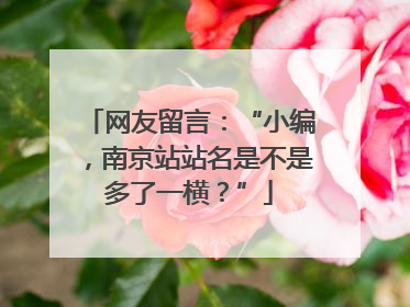 网友留言：“小编，南京站站名是不是多了一横？”