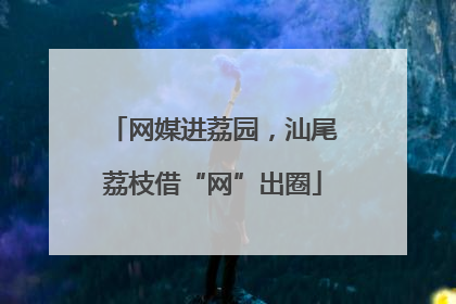 网媒进荔园，汕尾荔枝借“网”出圈