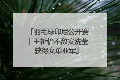 羽毛球印尼公开赛｜王祉怡不敌安洗莹 获得女单亚军