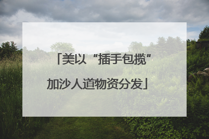 美以“插手包揽”加沙人道物资分发